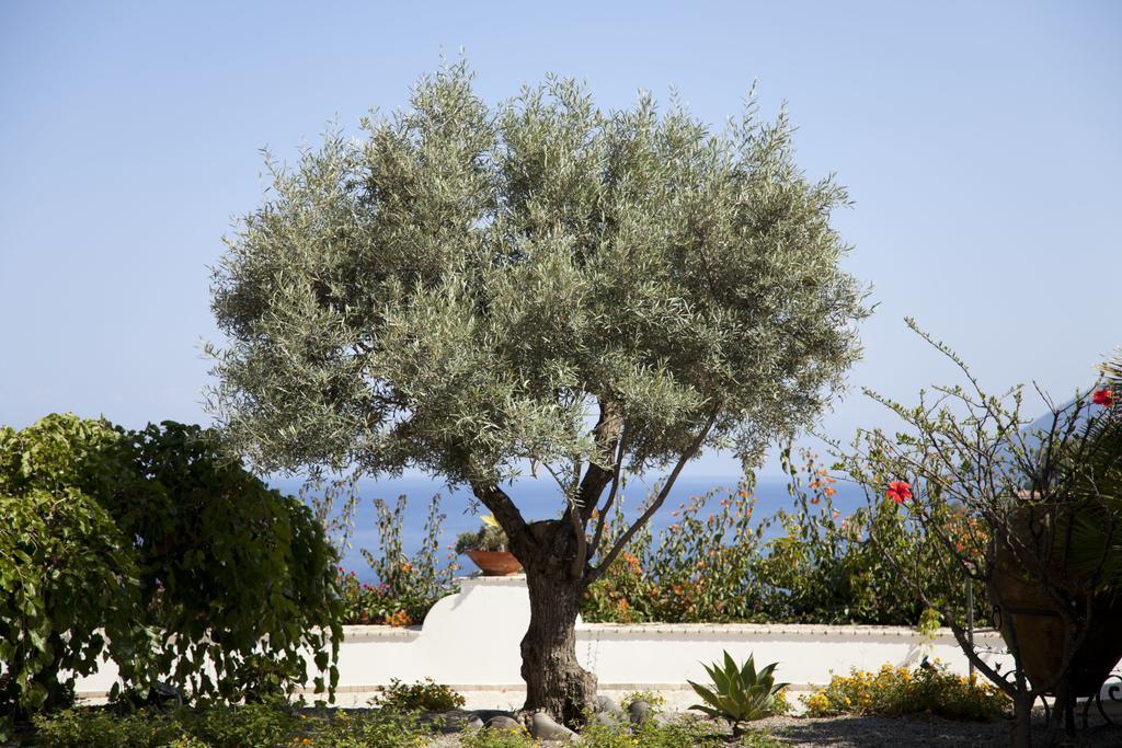 Hotel Villa Enrica - Aeolian Charme Lipari (Isola Lipari) Exterior foto